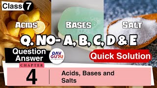 Chapter 4  Acids Bases and Salts  Class 7 DAV Science  Quick Solution 🔥💧🌡️ [upl. by Negah]