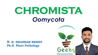 Lec 18 Chromista  Oomycota  Mycology  Plant Pathology  BScMSc Agriculture [upl. by Trocki]