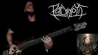 PSYCROPTIC  ObServant  Bass Cover [upl. by Yliak]