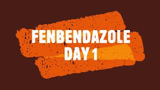 Fenbendazole Day 1 of Week 1 an experiment by a noncancer person [upl. by Suzette994]