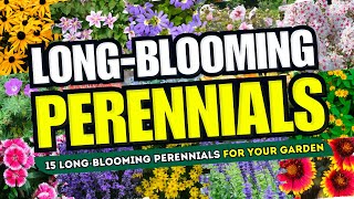 🌼💖 ENDLESS BLOOMS 15 Long BLOOMING Perennials to Keep Your Garden VIBRANT 😍🌸 [upl. by Oile]