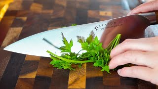 How to Sharpen Kitchen Knives  Beginners Guide [upl. by Litta]