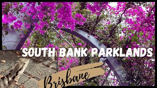 Visiting South Bank Parkland  Brisbane [upl. by Jaddo]