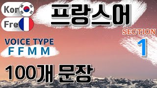 프랑스어  Section 01 Type F F M M  짧고 쉬운 100문장 연속 듣기  프랑스어 동영상과 음성을 보고 들으면서 크게 따라 읽어보세요 [upl. by Ailesor199]