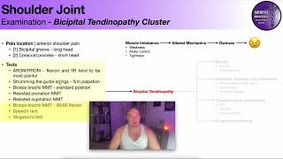 Bicipital Tendinopathy Testing Cluster [upl. by Yhprum]