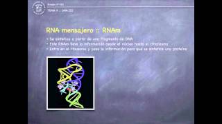 Tema 9 I  RNA y Transcripción [upl. by Elie]