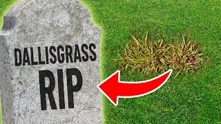 5 Weed Control Strategies for Killing Dallisgrass [upl. by Oirasor720]