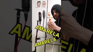 amarela amarella cover pollo epidemic77 [upl. by Einnel234]