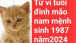 tử vi tuổi đinh mão nam mạng sinh 1987 năm 2024 [upl. by Yelrahs]