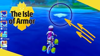 Best Pokemon Follow Animations in Pokemon Sword amp Shield DLC Isle of Armor [upl. by Northey580]