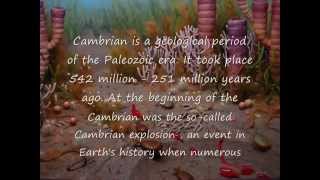 Geological Time Periods Part 2 Cambrian Ordovician And Silurian [upl. by Mackay192]