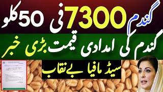 گندم میں اچانک اضافہ Big Wheat price in punjabاگندم کا ریٹ2024  makki till sarsoGallasupermandi [upl. by Kellie]