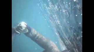 Spearfishing Kingfish off a kayak  Matheson Bay [upl. by Levine]