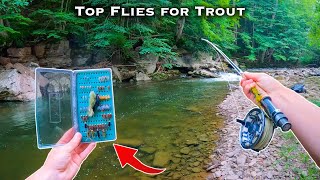 The BEST Flies for Trout  Fly Fishing for Beginners Streamers Nymphs Dry Flies [upl. by Noxaj]