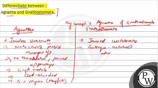 Differentiate between  Agnatha and Gnathostomata [upl. by Adyam734]