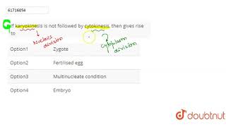 It karyokinesis is not followed by cytokinesis then gives rise to [upl. by Ymmit]