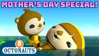 ​Octonauts  Mothers Day Special 💮  Cartoons for Kids  Underwater Sea Education [upl. by Nylirahs902]