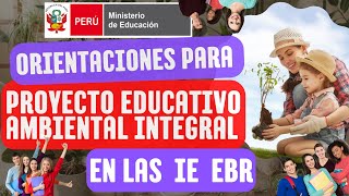 ORIENTACIONES PARA DISEÑO DEL PROYECTO EDUCATIVO AMBIEMTAL PEAI EN LAS IEs [upl. by Edrahc351]