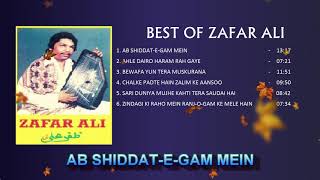 BEST OF ZAFAR ALI [upl. by Lothar403]