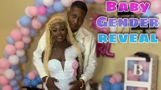 He or she baby gender reveal vlog [upl. by Ilarin]