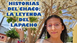 HISTORIAS DEL CHACO La Leyenda del Lapacho [upl. by Inohs]