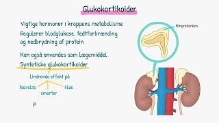 Farmakologi Glukokotikoider [upl. by Kasper]