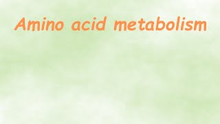 Amino Acid MetabolismNEETTGTPGTCUETBScLife Science Classes [upl. by Atsev]