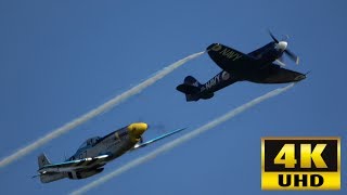 P51 Mustang vs Sea Fury  A Comparison [upl. by Shirlene]