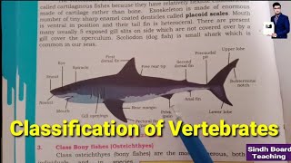 Classification of Vertebrates XI Biology [upl. by Oiluig]