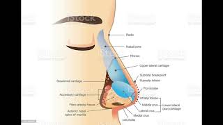 ⚠️WARNING⚠️THIS IS THE MOST INTENSE PERFECT NOSE SUBLİMİNAL USE W CAUTİON [upl. by Nesta]