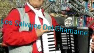 Los Salvajes Del ChamameGorosito [upl. by Caryl]