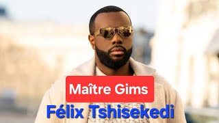 GIMS  Félix Tshisekedi Tshilombo Clip Officiel [upl. by Eilerua]