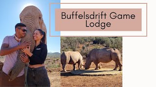 Travel Vlog Roadtrip with boyfriend to Bufflesdrift Game Lodge Oudtshoorn Garden Route [upl. by Aicekal]