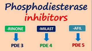 Phosphodiesterase inhibitors [upl. by Alrats]