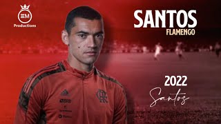 Santos ► Bem Vindo Ao Flamengo  Melhores Defesas amp Defensive Skills  2022 HD [upl. by Sauncho]