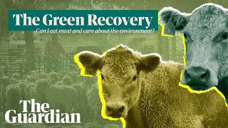 The Green Recovery can I still eat meat if I care about the environment [upl. by Enomad502]