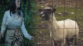 Katy Perry  Roar Goat Remix [upl. by Atnauq]