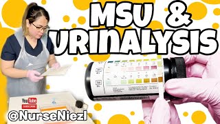 MSU amp URINALYSIS  NMC OSCE 🇬🇧 nurseniezl niezl2023 [upl. by Avrom]