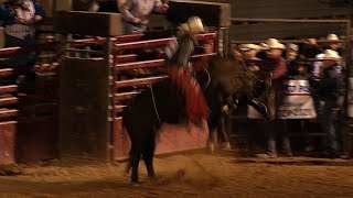 Hamel Rodeo Plays to Large Crowds [upl. by Agnizn711]