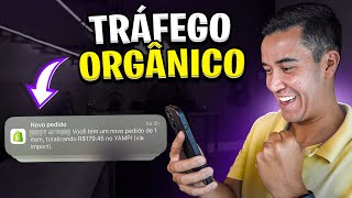 Dropshipping  Tráfego Orgânico vale a pena para minha Loja [upl. by Hallimaj]