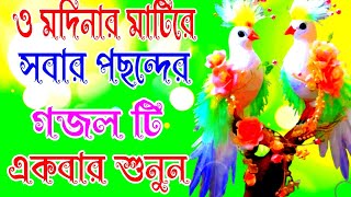 ও মদিনার মাটিরে নতুন গজল o modinar Mati re Shera gojol [upl. by Aikam]