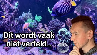 Deze 5 basisprincipes van je Zeeaquarium moeten op orde zijn [upl. by Jolyn]