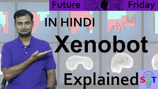 Xenobot Explained In HINDI Future Friday [upl. by Travers689]