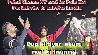 Ustad Chama ny raat ka Pala mardia Asman per kaboter hi kaboter kardia 😊 Raat ki Cup ki tiyari shuru [upl. by Chong665]