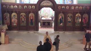 20240202 Vesperal Divine Liturgy Presentation of Our Lord Jesus Christ [upl. by Airenahs]