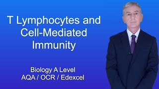 A Level Biology Revision quotT Lymphocytes and CellMediated Immunityquot [upl. by Korff]