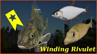 Winding Rivulet  Donets Ruffe amp whiteeye bream amp Ruffe  Russian Fishing 4 rf4 spot 33 [upl. by Maclay347]