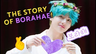 The Story of BORAHAE and its 𝗥𝗶𝗴𝗵𝘁𝘀 𝗖𝗼𝗻𝘁𝗿𝗼𝘃𝗲𝗿𝘀𝗶𝗲𝘀 💜😱 The meaning origin [upl. by Blainey]