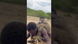 Hunting and Cooking Huge Baboon with Hadzabe tribe hadzabetribe africantribe [upl. by Rehteh]