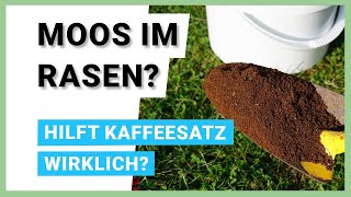 Kaffeesatz gegen Moos im Rasen  Hausmittel gegen Moos im Rasen [upl. by Asor]